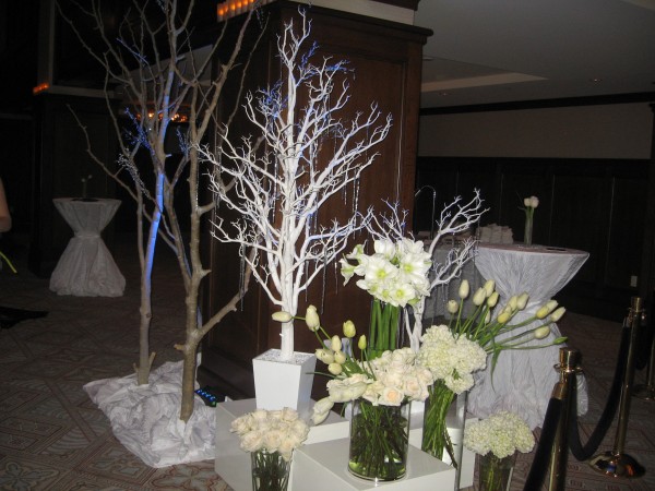 The Pre-Function area welcomed guests into the Fire & Ice theme with iceicles and winter trees