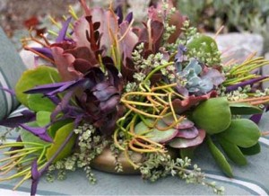 Succulents mix well with collections of deep hues
